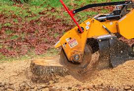 Best Leaf Removal Services  in Seguin, TX